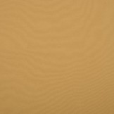 Punta Di Roma  Ocker