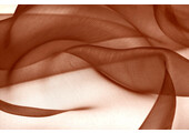 Organza Rust Brique