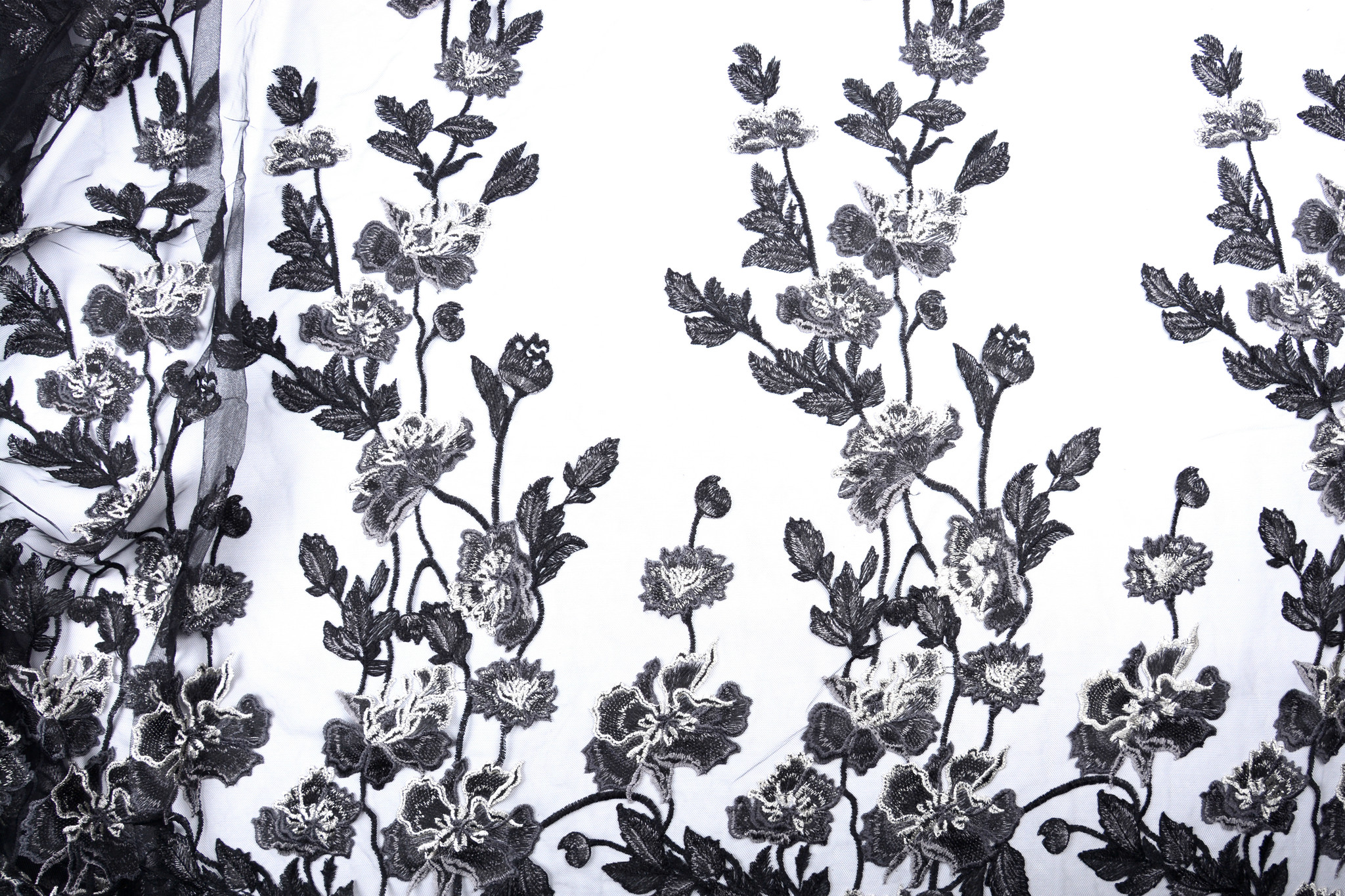 Embroidered lace black