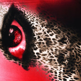 Paneel Lycra Crepe Trico Panterprint Oog Ido Rood