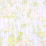 Stretch lace Hilo White Green