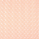 Lace Gold minta Salmon