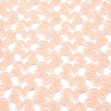 Lace Gold minta Salmon