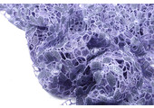 Lace Sequins Pua Nani Purple
