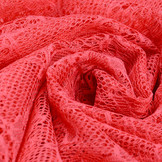 Kant Rozen Doorna Koraal Rood