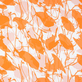 Chiffon bedruckt Flamingo Orange
