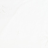 100% Baumwolle Broderie Lola Krone Creme