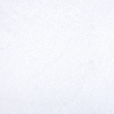 Spitze Rosen Doorna Off-White