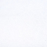 Kant Rozen Doorna Off-White