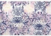 Mesh Embroidered Flors Navy Blue