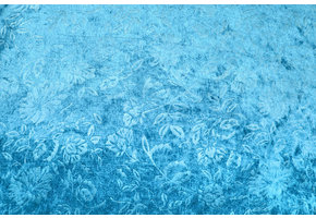 Velours de Panne Kukka Aqua