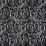 Lace on Charmeuse Silver