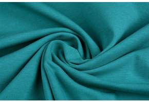 Cotton Jersey Sea Green