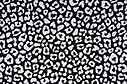 100% Cotton Panther print Black