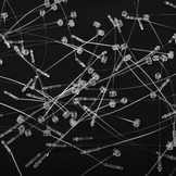 Plastic loop lock pins White (500 pcs)