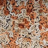 Mesh Bloem Lint Oranje Beige