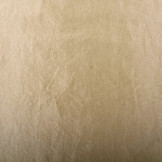 Crinkle Taft Licht Goud