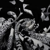 Digitaal Paneel Viscose Jersey Wavuka Grijs