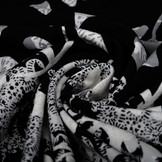 Digital Panel Viskose Jersey Wavuka Grau