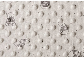 Bear Minky Fleece Beige