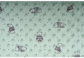 Bear Minky Fleece Light Old Green