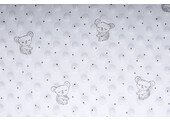 Koala Minky Fleece Silver