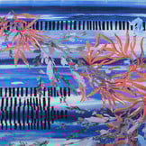 Lycra Barnett Blau Rot