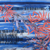 Lycra Barnett Blue Red