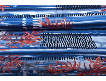 Lycra Barnett Blue Red