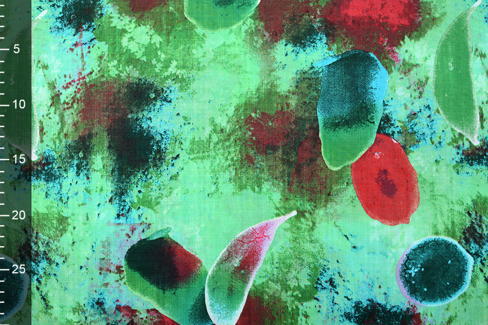 Cotton Viscose Djamboe Green
