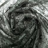 Spitze Ziedi Dunkel Grau Grün