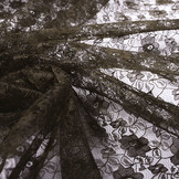 Spitze Ziedi Dunkel Braun