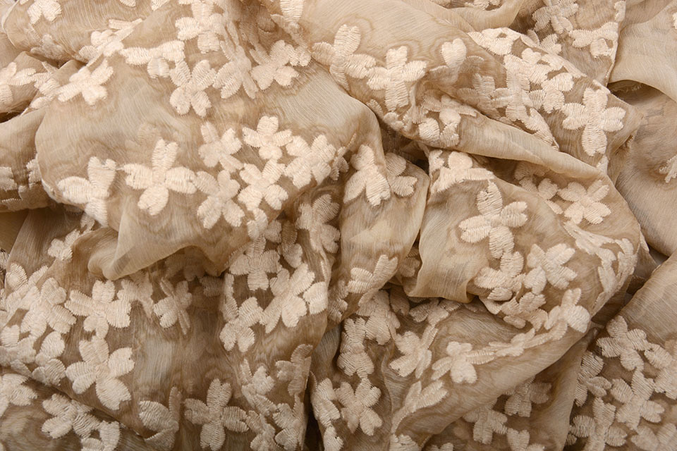 Embroidered Chiffon Aurora Sand