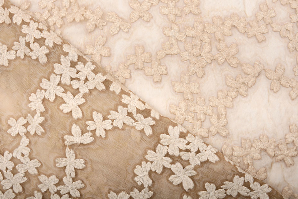 Embroidered Chiffon Aurora Sand