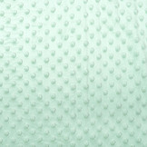 Minky Fleece Light Old green