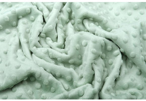 Minky Fleece Light Old green