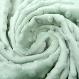 Minky Fleece Light Old green