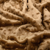 Minky Fleece Mokka Bruin