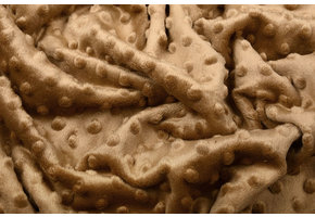 Minky Fleece Mokka Braun