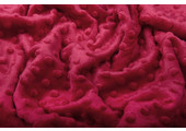 Minky Fleece Rot
