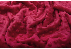 Minky Fleece Red