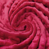 Minky Fleece Red