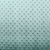 Minky Fleece Old Green