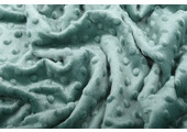 Minky Fleece Old Green