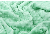 Minky Fleece Mint Green