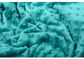 Minky Fleece Aqua