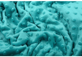 Minky Fleece Aqua