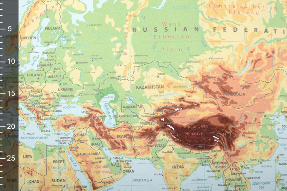 Digital Panel Stretch Cotton World Map Old Green