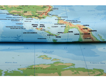 Digital Panel Stretch Cotton World Map Blue