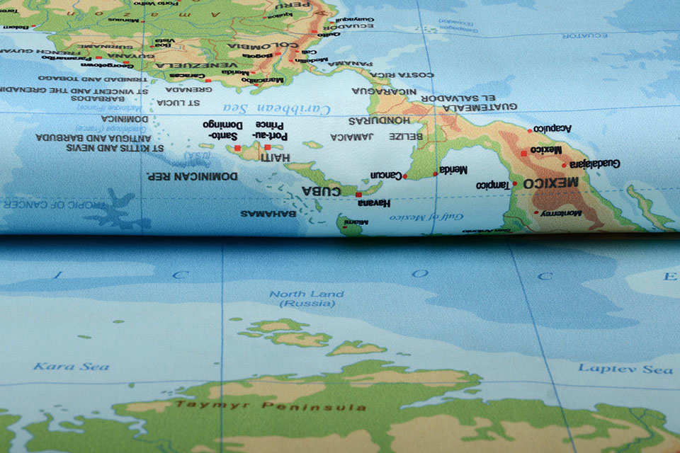 Digital Panel Stretch Cotton World Map Blue